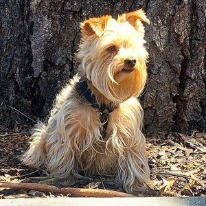 Meet your Posher, Rick